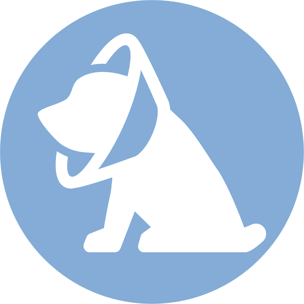 Surgery Dog Cone Icon