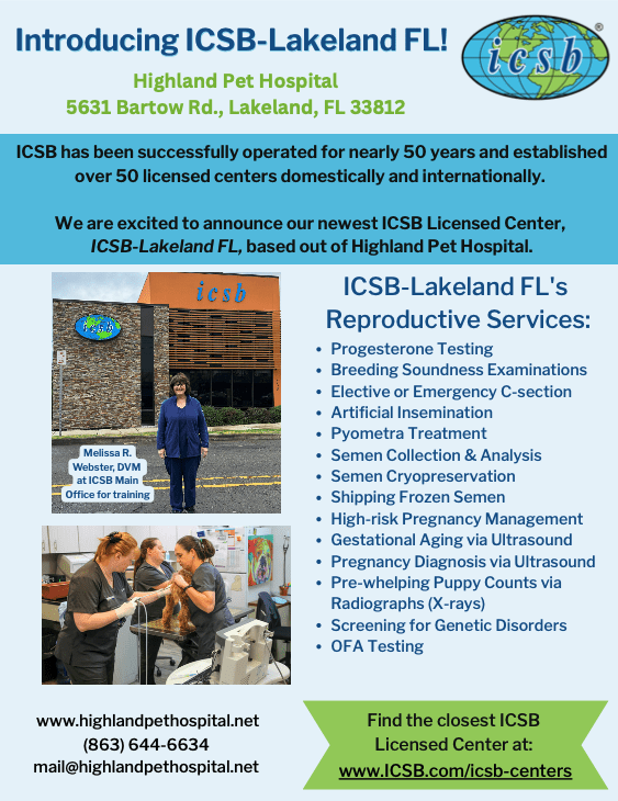 Icsb Flyer