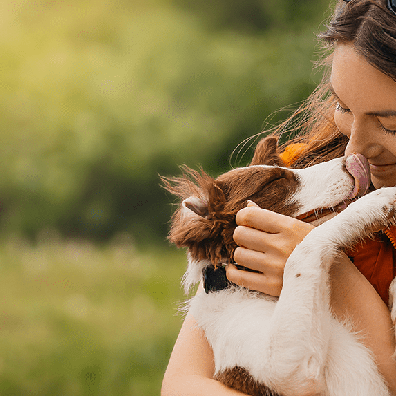 dog licking owners face
