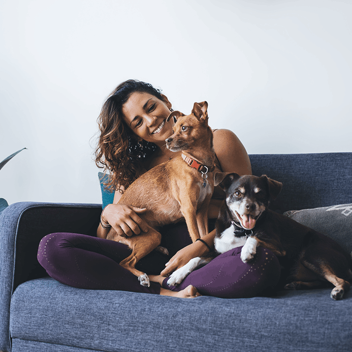 Pet Owner Cat Dog Couch